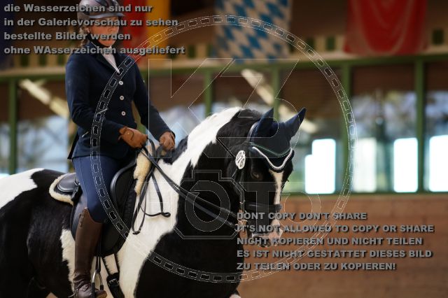 s_K3F09715.JPG